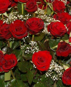 Иранците също плачат. Заради 124 000 червени рози...