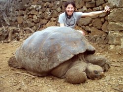 Откриха рядка гигантска костенурка във Виетнам