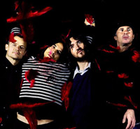 33 ,     Red Hot Chili Peppers