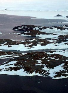 До септември Северният полюс може да остане без лед