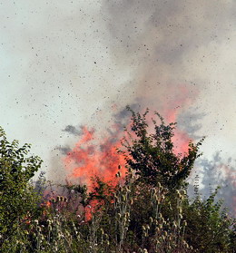 Овладяха огромния пожар край Свиленград