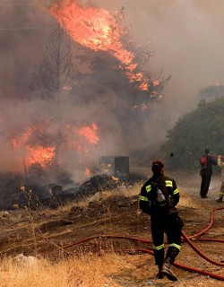 Пожар в национален парк Рила