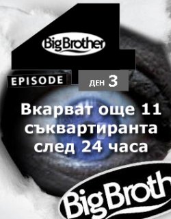   11   Big Brother?