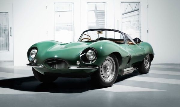 Jaguar    -  