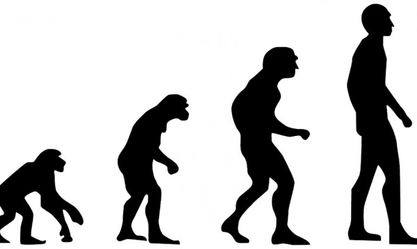 От "Homo sapiens" в "Homo cyberneticus" Как ще еволюира човешкият вид? - Последни Новини от DNES.BG