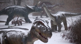 Палеонтолози са открили останки от десетина древни създания в динозавърско