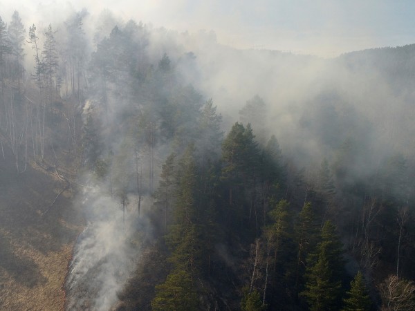 Седемнадесет души пострадаха при горски и степни пожари в Забалкайския