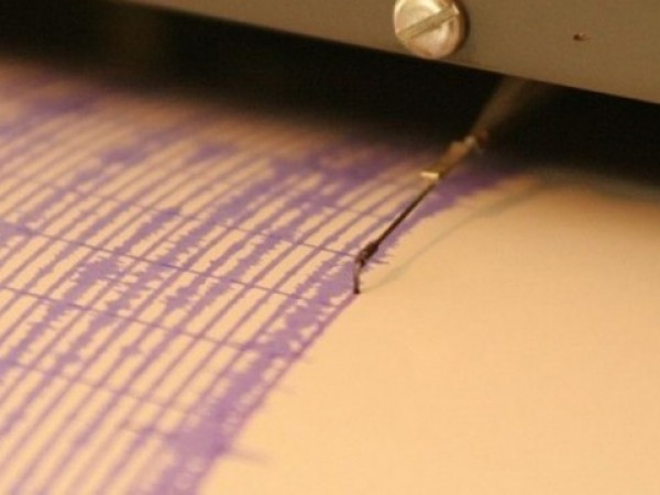 Земетресение с магнитуд 5,9 е регистрирано в Североизточна Индия, съобщи