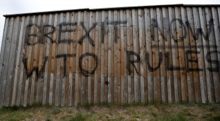 Лагерът на еврофилите във Великобритания тръгва разединен към европейските избори