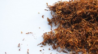 Полицията откри 100 кг тютюн без бандерол в Монтанско По