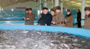 Северна Корея е намалила хранителните дажби на населението до 300