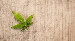 Сигнал за наличие на марихуана към полицията в Монтана накара