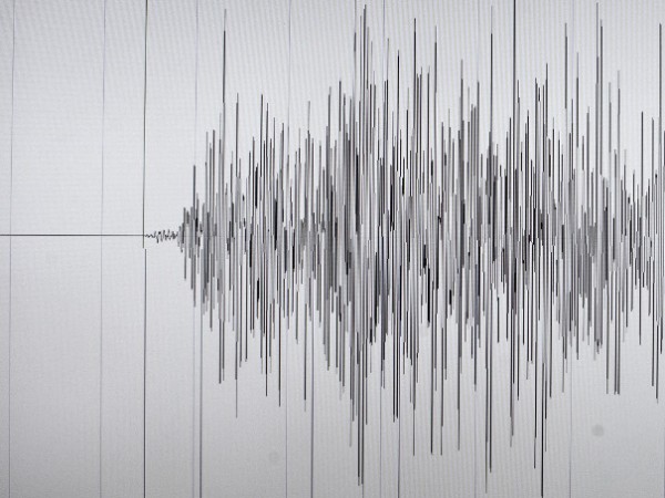 Земетресение с магнитуд 4,6 по Рихтер е регистрирано в 08.27