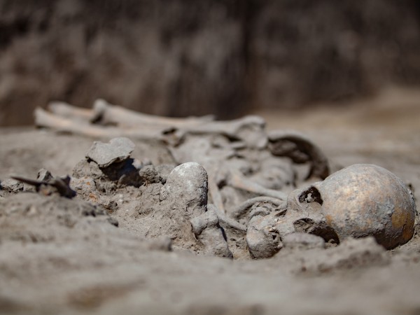 Скелет на над 7600 години откриха вчера в столичния квартал