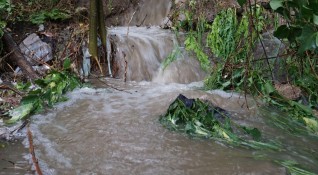 Проливният дъжд през последните часове в Ловешко е нанесъл големи