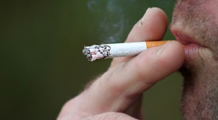 Делът на незаконните цигари в България е на рекордно ниски