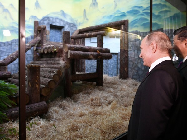 Президентът на Китай Си Дзинпин обяви Владимир Путин за своя