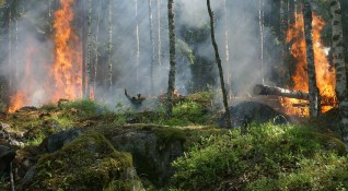 Гора и сухи треви са пламнали в района на Каламици