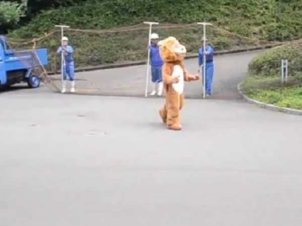 Tobe Zoo in Aichi conducted a lion escape drill today.
