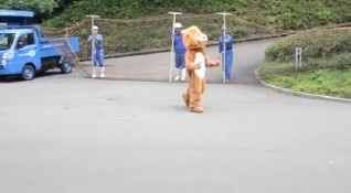 Tobe Zoo in Aichi conducted a lion escape drill today