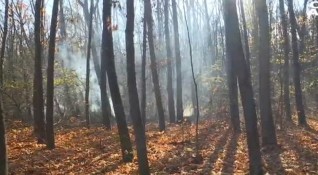 Екстремален индекс за пожароопасност има на места в област Добрич