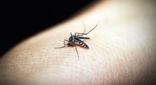 2 млн лв отпуска Министерският съвет за пръскане срещу комарите