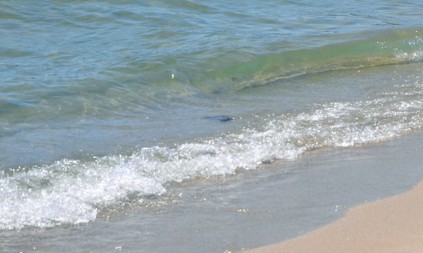 Морето взе нова жертва: Ученик се удави в Слънчев бряг