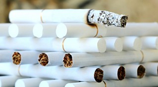 Учени от Австралийския национален университет установиха че тютюнопушенето ежедневно убива