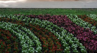 Истински пъстри килими от цветя красят Морската градина във Варна