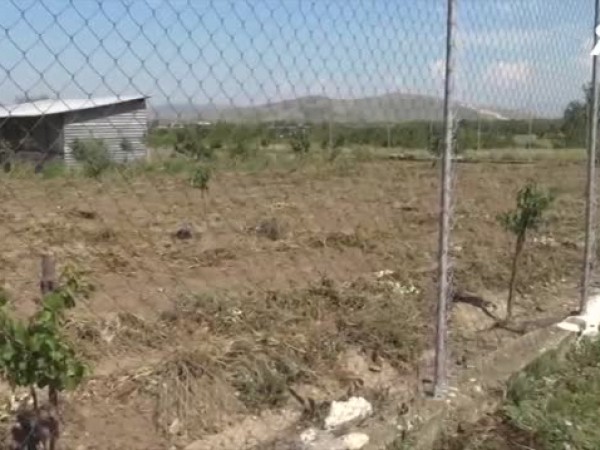 Над 10 хиляди декара земя в Кричим са заплашени от