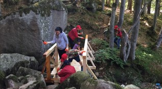 Доброволци от Пощенска банка преобразиха изцяло горска пътека в местността