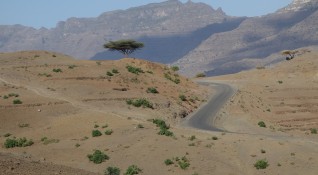 Етиопия постави нов рекорд за най много дървета над 200