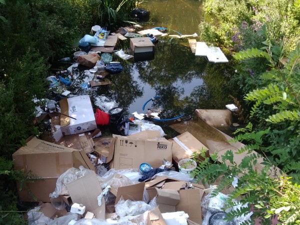 Безразборното и нерегламентирано изхвърляне на отпадъци се оказва сериозен проблем