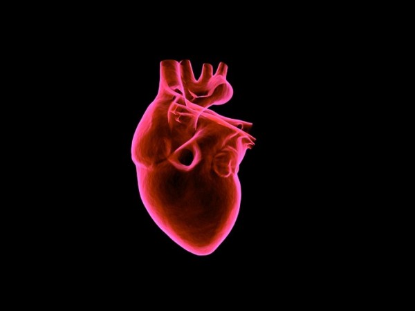 Американски учени са успели да създадат функционални части на сърце