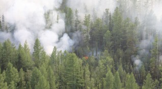 Над 1 5 млн хектара горят в Сибир изчисляват от Новосибирската