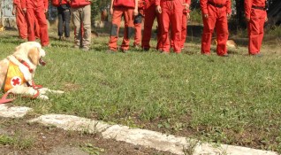 Екипи на Планинската спасителна служба са помогнали на жена претърпяла