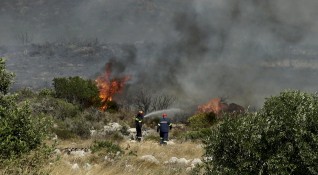 Десетки горски пожари се разразиха в Гърция през уикенда в
