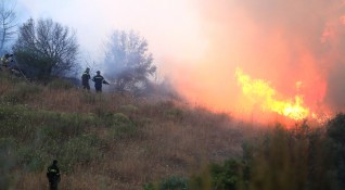 Манастир е бил евакуиран заради пожар на гръцкия остров Евбея
