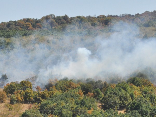 Пожарът край хасковските села Брягово, Любеново и Родопи е обхванал