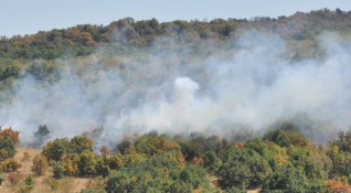 Пожарът край хасковските села Брягово Любеново и Родопи е обхванал
