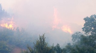 Голям пожар е възникнал на градското сметище край Свищов съобщи