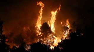 Голям пожар гори на гръцкия остров Закинтос в гората между