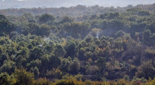 Голям пожар гори край софийското село Реброво съобщи Нова тв
