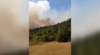Пожарът в землището между селата Луково Реброво и Владо Тричков