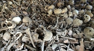 Човешки останки са открити в землището на село Градешница Това
