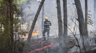 Пожар обхвана района около двореца Кричим Над 20 огнеборци са