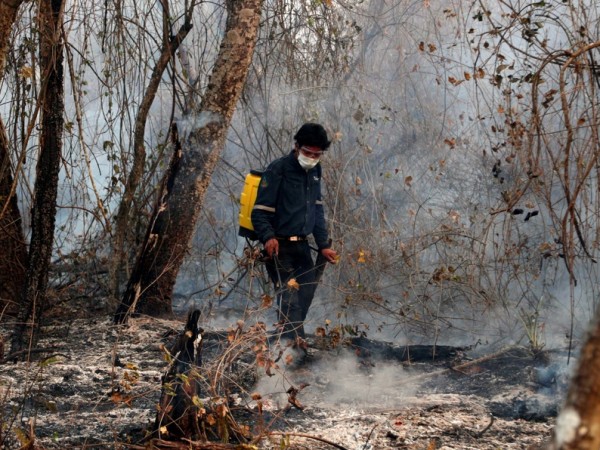 Опустошената от пожари площ в Боливия достигна 950 000 хектара,