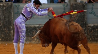 Традицията се сблъсква с правата за животните и Испания е