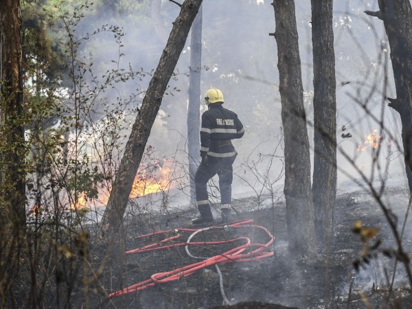 Около 300 декара гора са се е запалила между новозагорските