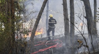 Около 300 декара гора са се е запалила между новозагорските